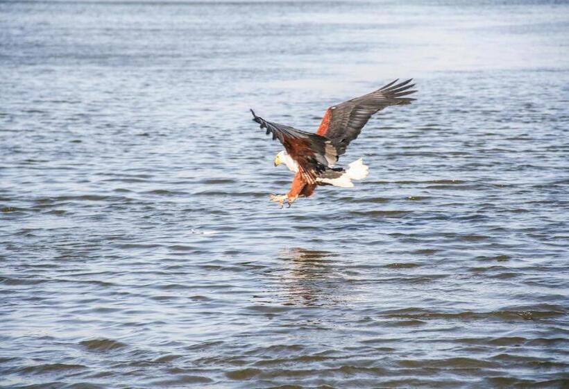 צימר Mtunzini Bnb