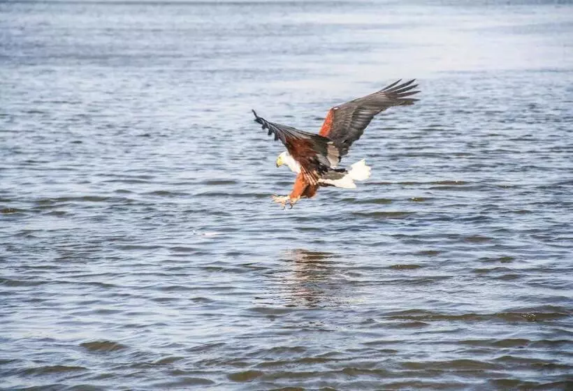 Aamiaismajoitus (B&B) Mtunzini Bnb