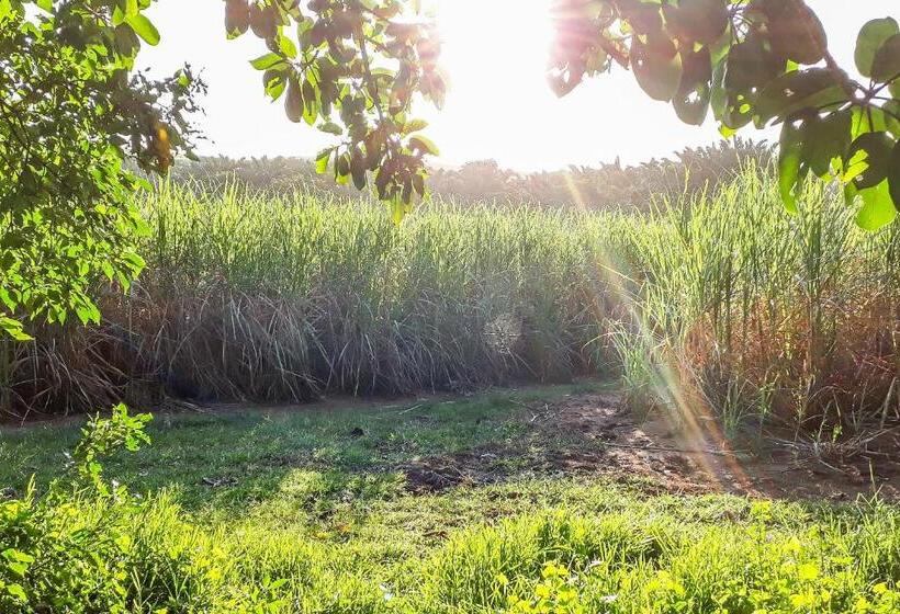 צימר Mtunzini Bnb