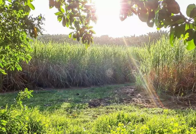 Aamiaismajoitus (B&B) Mtunzini Bnb