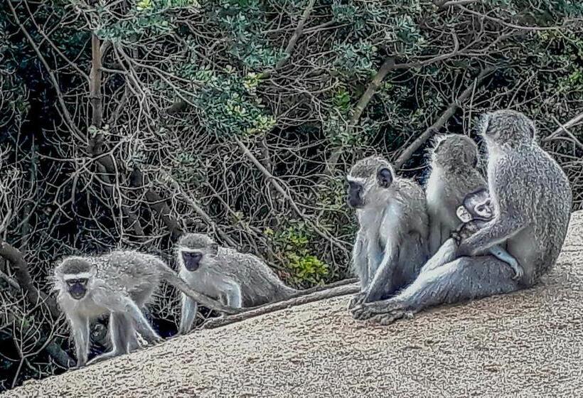 צימר Mtunzini Bnb