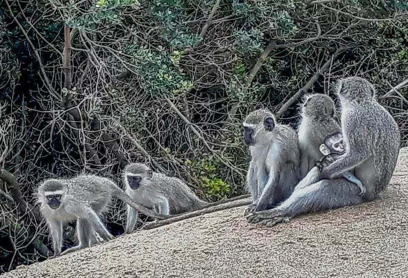 Aamiaismajoitus (B&B) Mtunzini Bnb