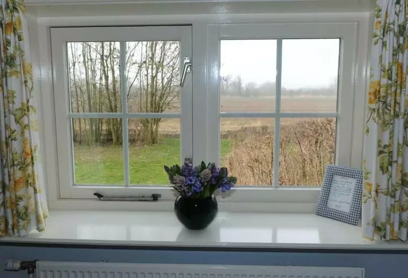 Bed & Breakfast De Neust