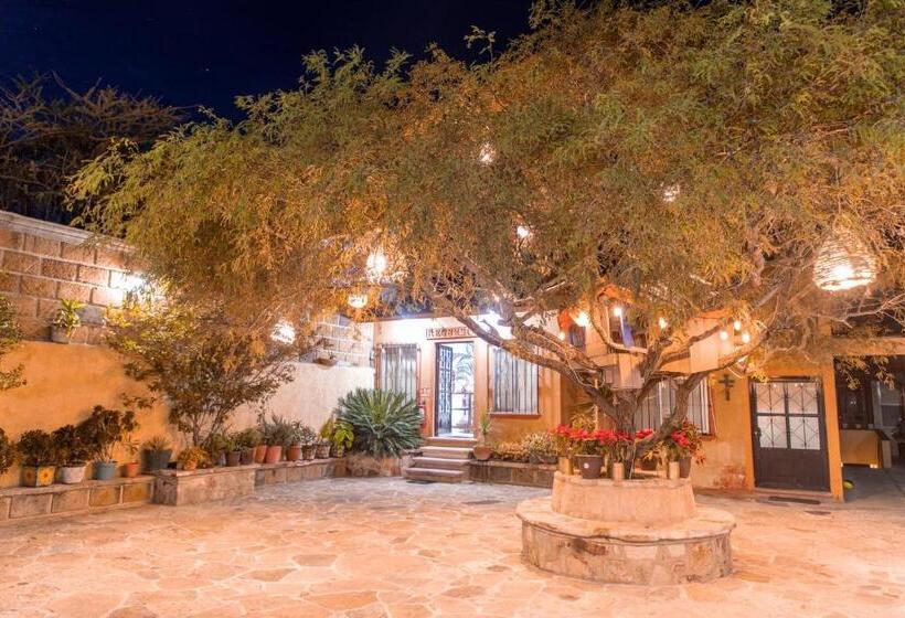 هتل Casa Del Arbol