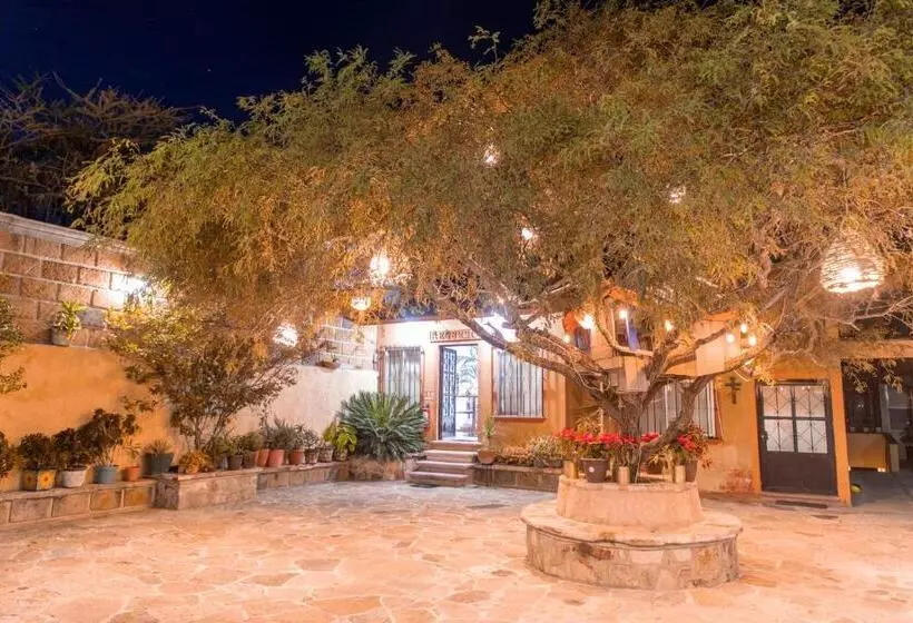 ホテル Casa Del Arbol