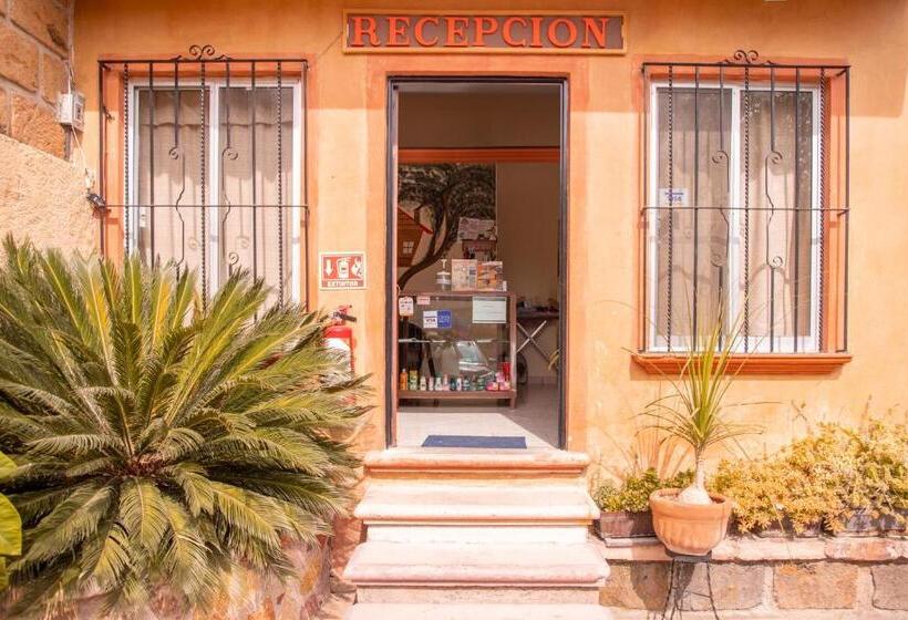 هتل Casa Del Arbol