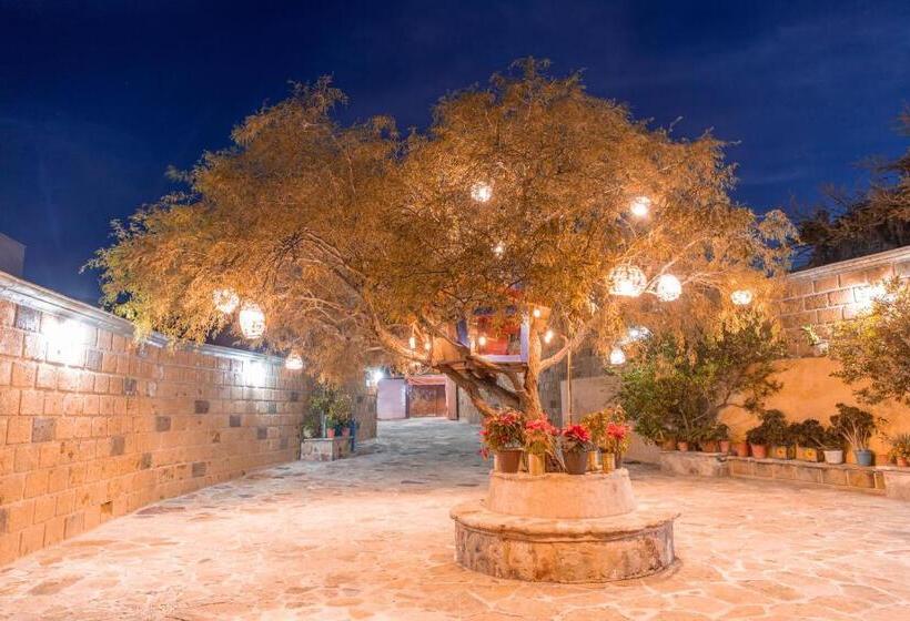هتل Casa Del Arbol