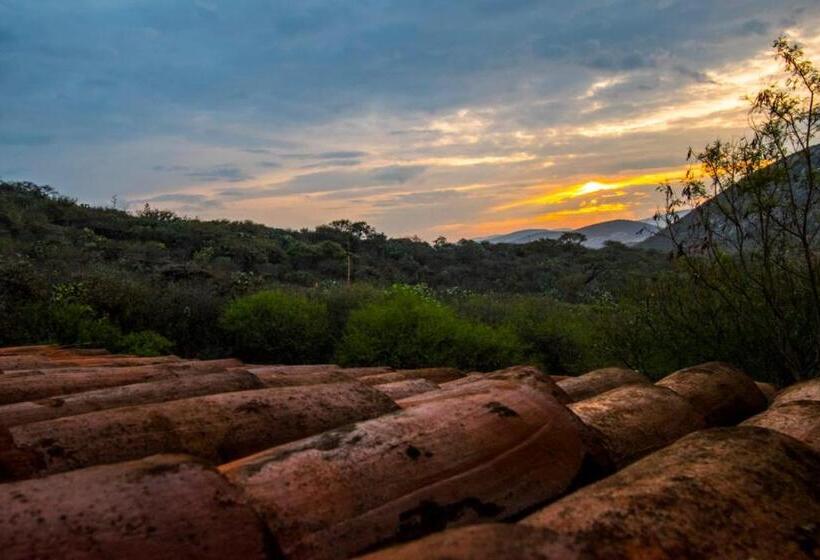 هتل Casa Del Arbol