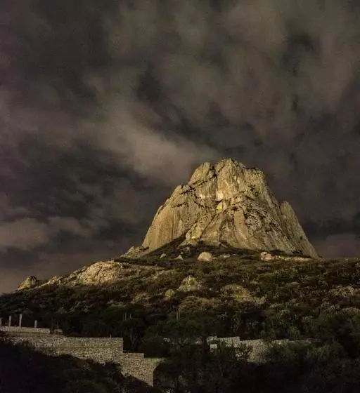 ホテル Casa Del Arbol