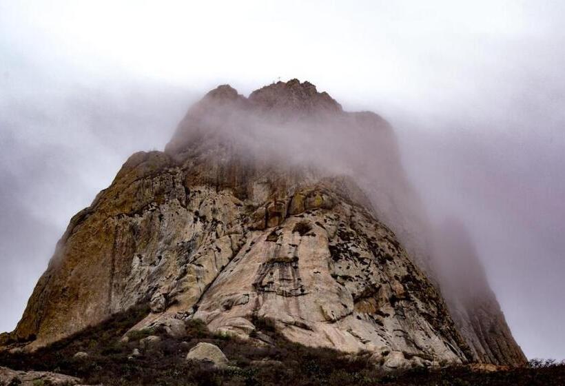 هتل Casa Del Arbol