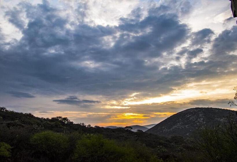 هتل Casa Del Arbol