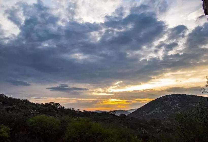 ホテル Casa Del Arbol