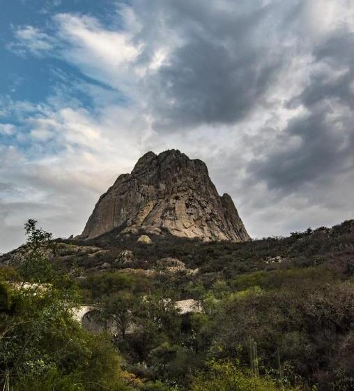 هتل Casa Del Arbol