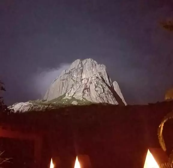 ホテル Casa Del Arbol