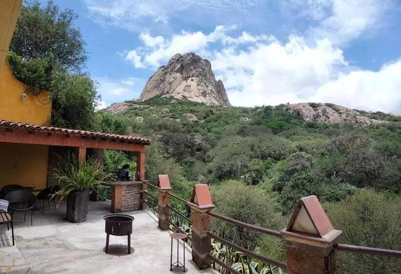 ホテル Casa Del Arbol