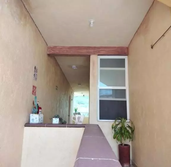 ホテル Casa Del Arbol