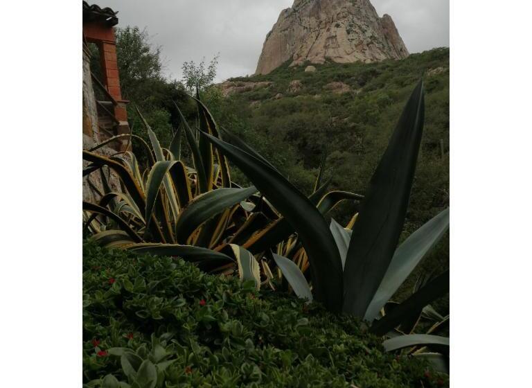 هتل Casa Del Arbol