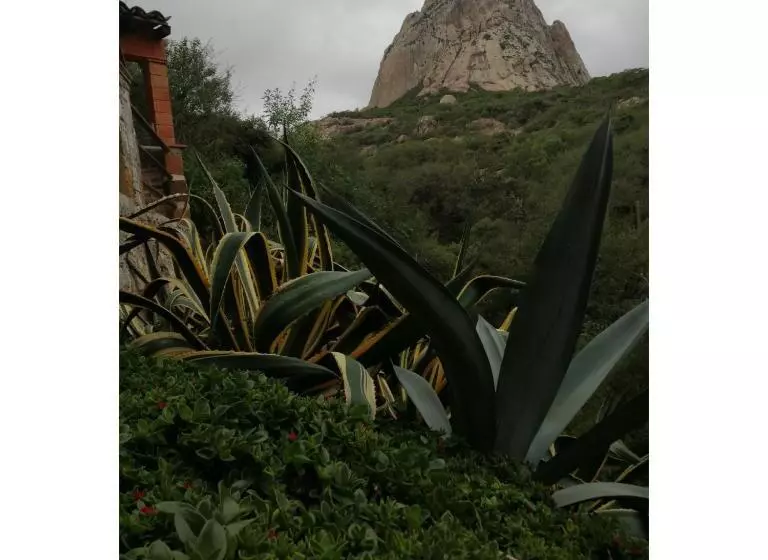 ホテル Casa Del Arbol