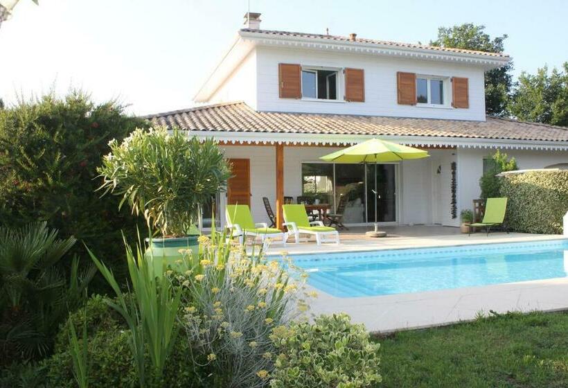 膳宿费 Chez Sophie