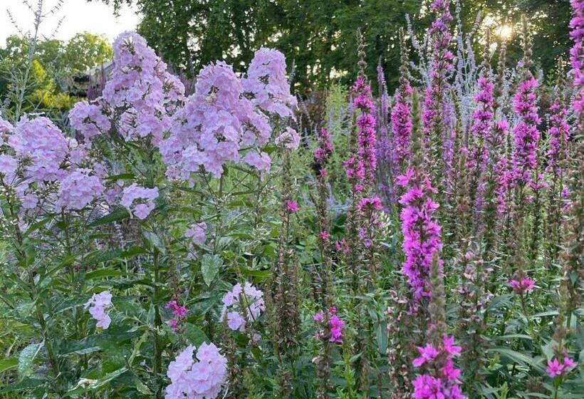 Пансион La Villa Bocage