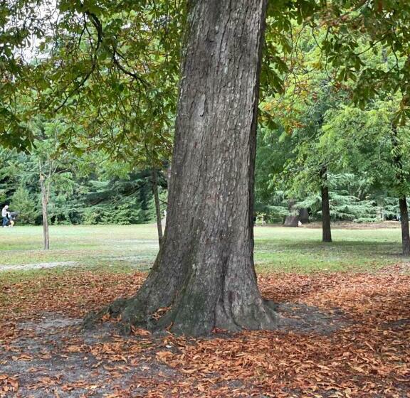 Пансион La Villa Bocage