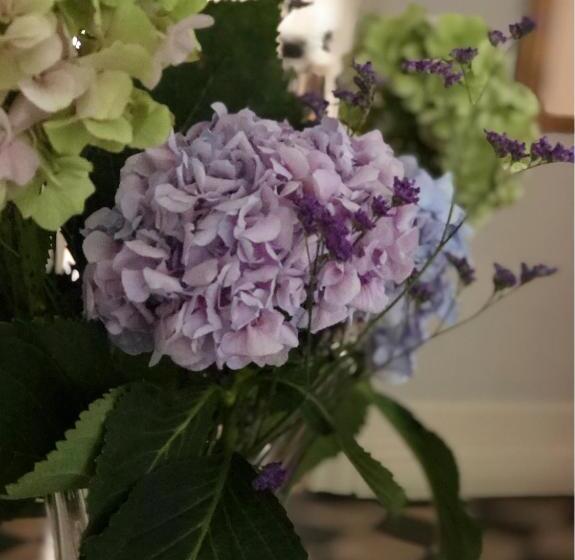 Пансион La Villa Bocage