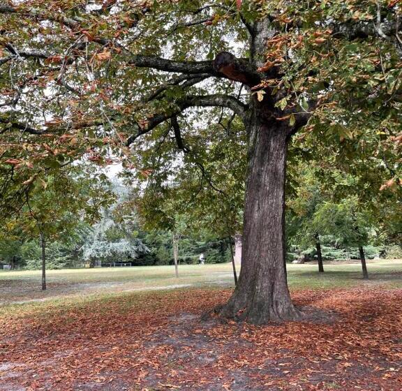 Пансион La Villa Bocage