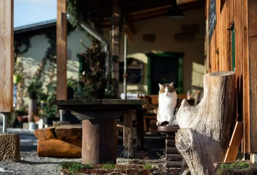 Majatalo Ottendorfer Hütte   Bergwirtschaft