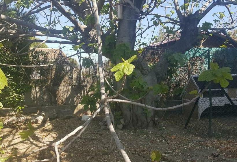 ベッドアンドブレックファースト Chambre D Hôtes Du Charme Provençal