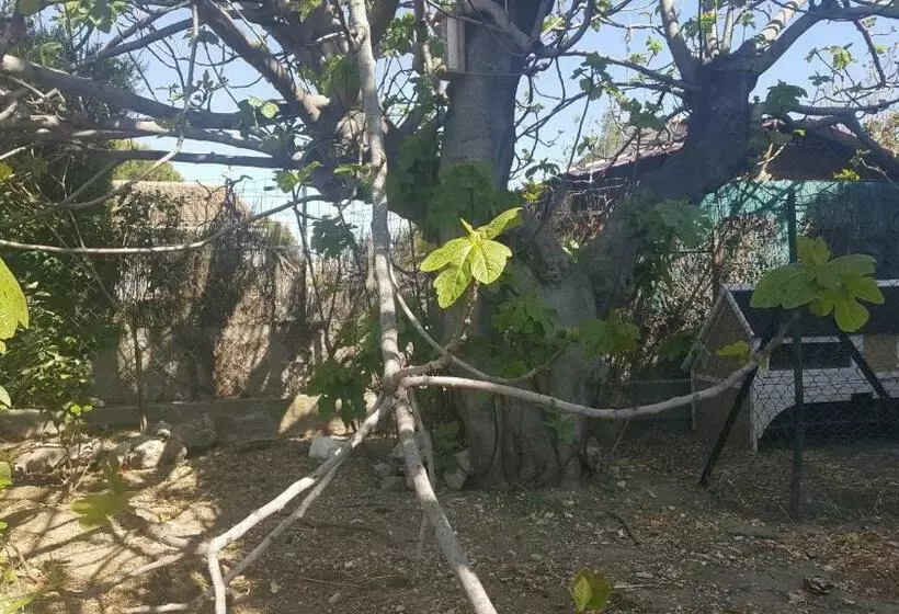 Aamiaismajoitus (B&B) Chambre D Hôtes Du Charme Provençal