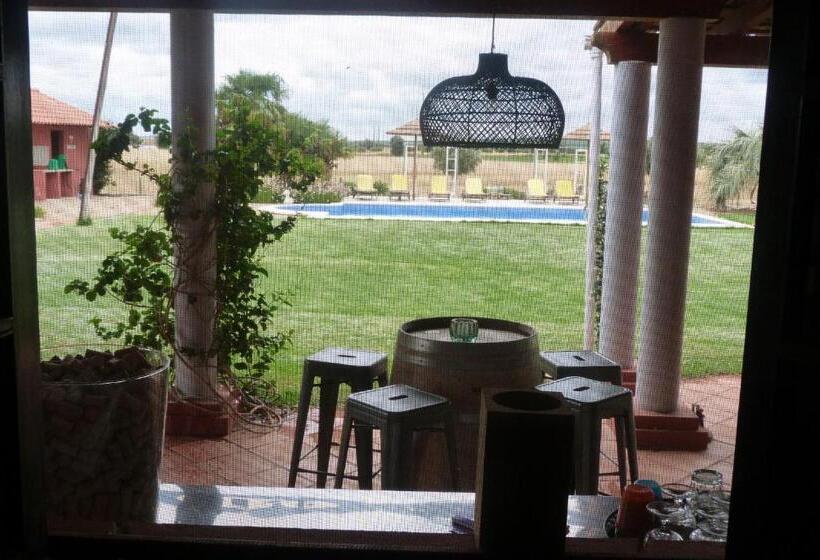 住宿加早餐  Quinta Dos Doze Sobreiros   Quarto Sol