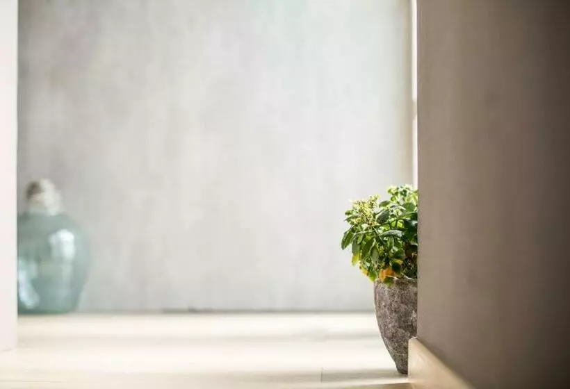 Aamiaismajoitus (B&B) Reve Gourmand