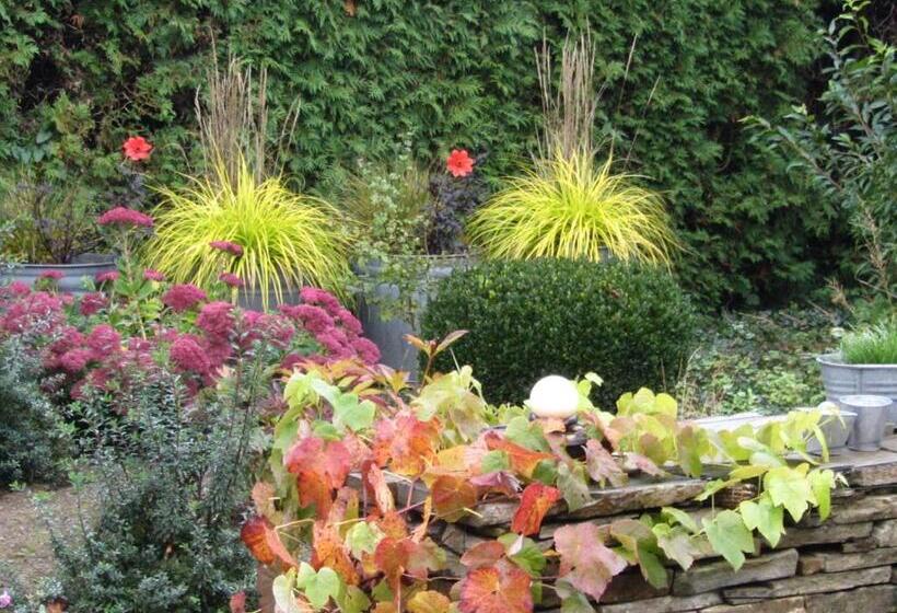 تختخواب و صبحانه Reve Gourmand