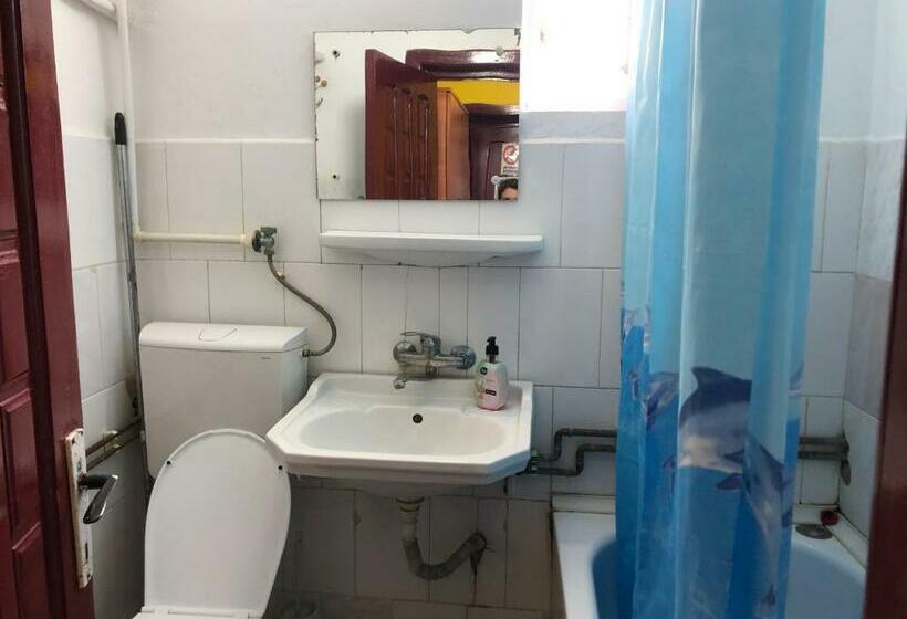 فندق Continental