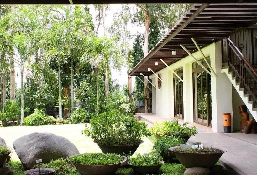 Nature S Village Resort