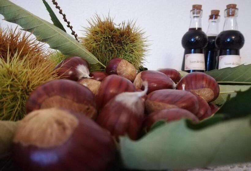 پانسیون Casa Serra Da Lapa