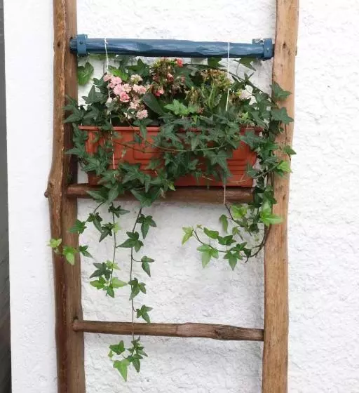 ペンション La Casetta Delle Ragazze Ribelli