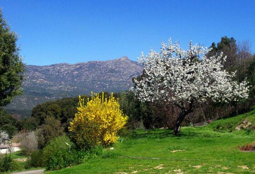 住宿加早餐  Chambre Independante Et Aménagée 25 Kms Ajaccio