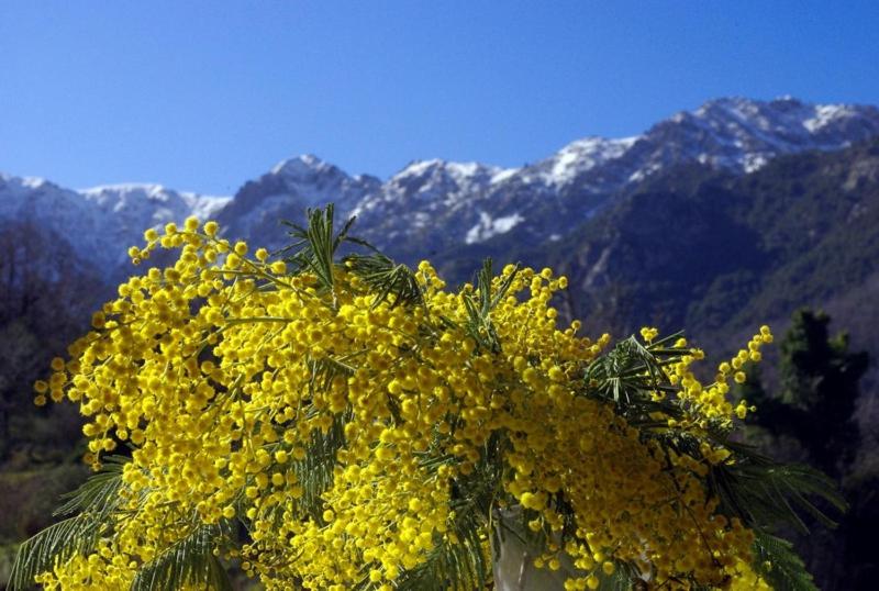 住宿加早餐  Chambre Independante Et Aménagée 25 Kms Ajaccio