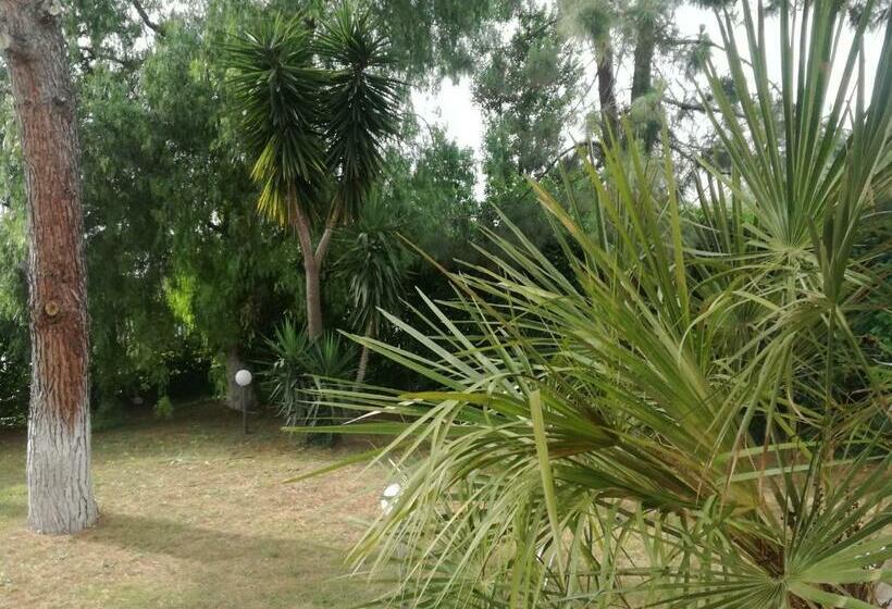 민박 The Orange Groove