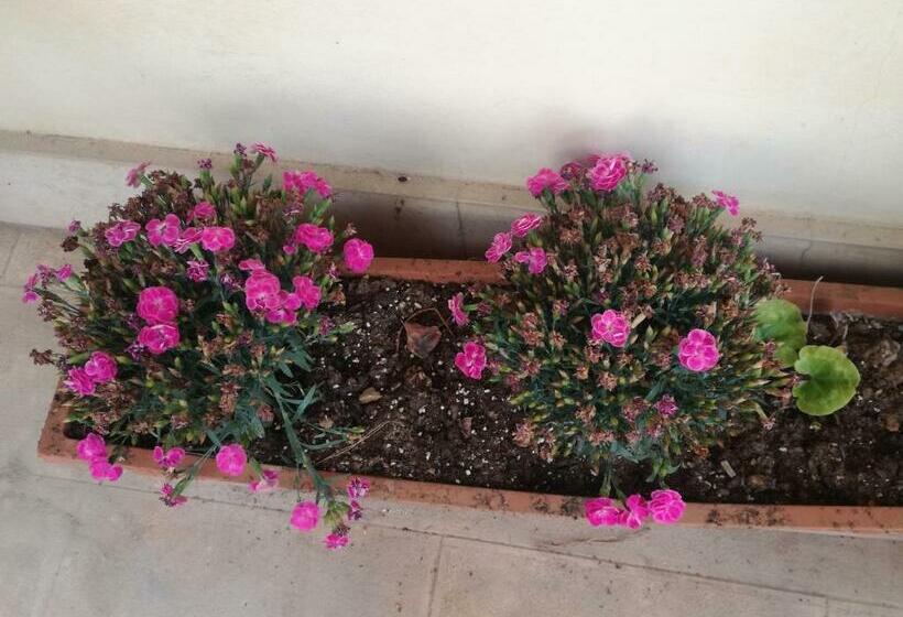 민박 The Orange Groove