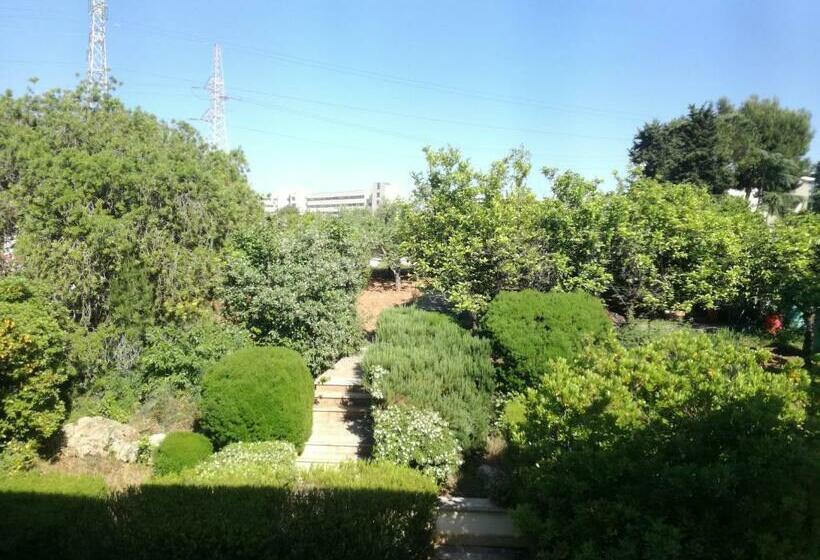 민박 The Orange Groove