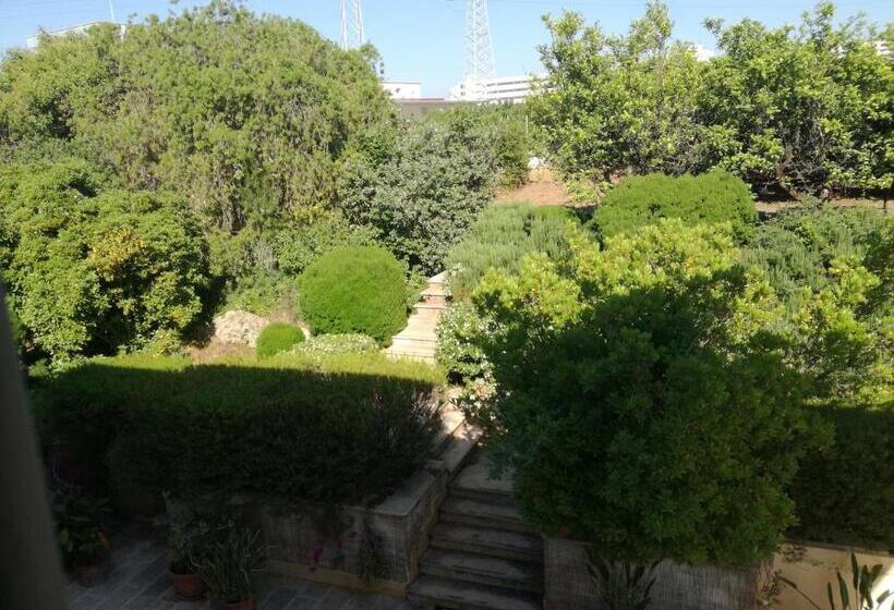 민박 The Orange Groove