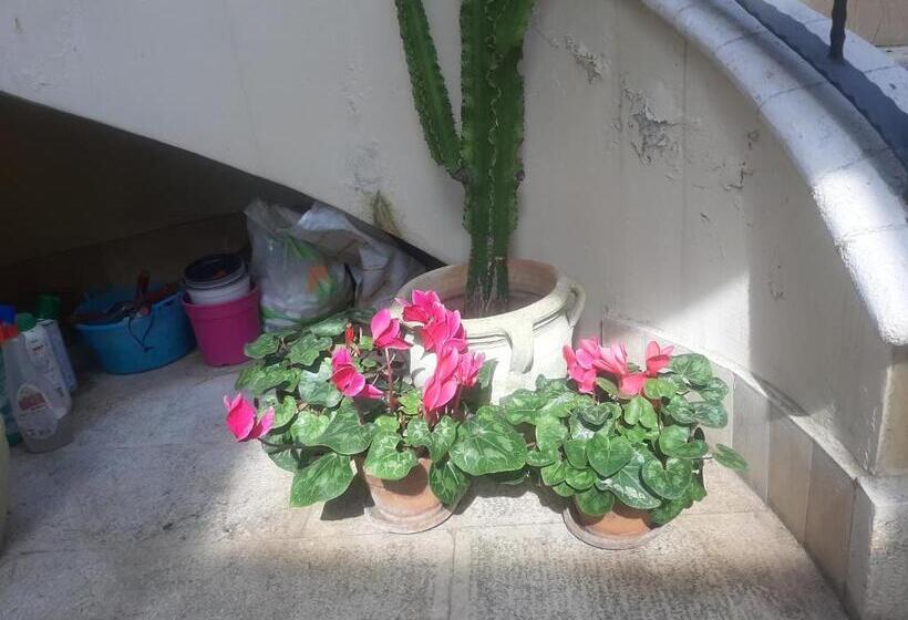 민박 The Orange Groove