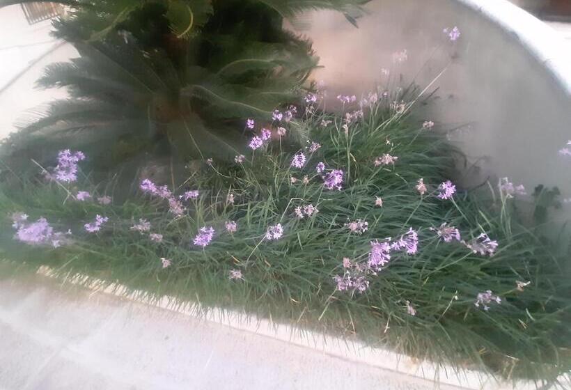 민박 The Orange Groove