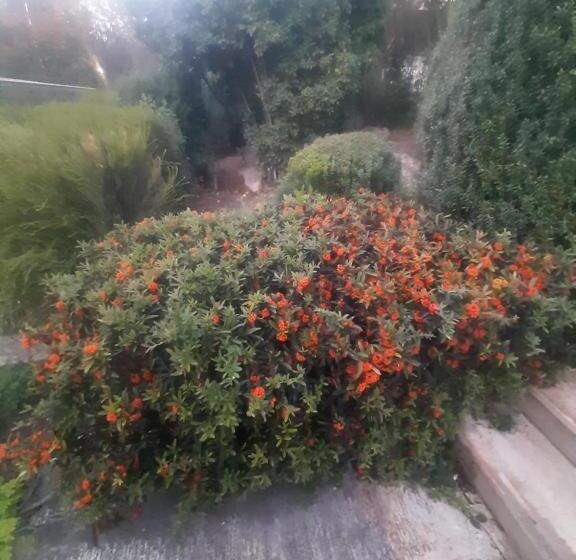 민박 The Orange Groove