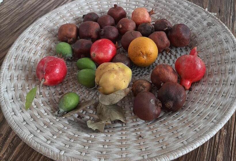 민박 The Orange Groove