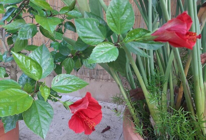 민박 The Orange Groove