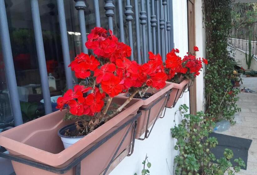 민박 The Orange Groove