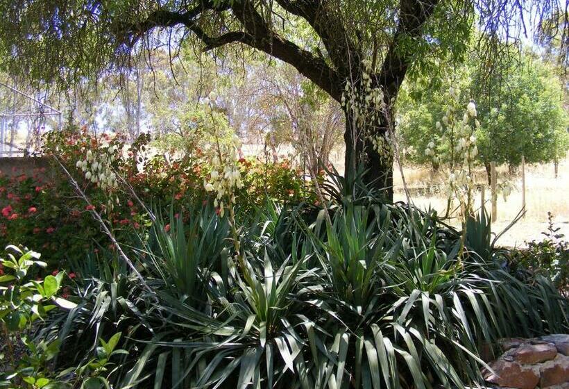 צימר Trevalia Accommodation